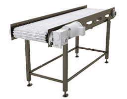 Stainless Steel Conveyor 